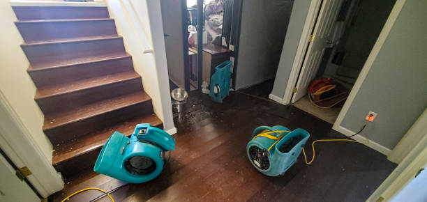 Best Water damage restoration specialists  in South Pekin, IL