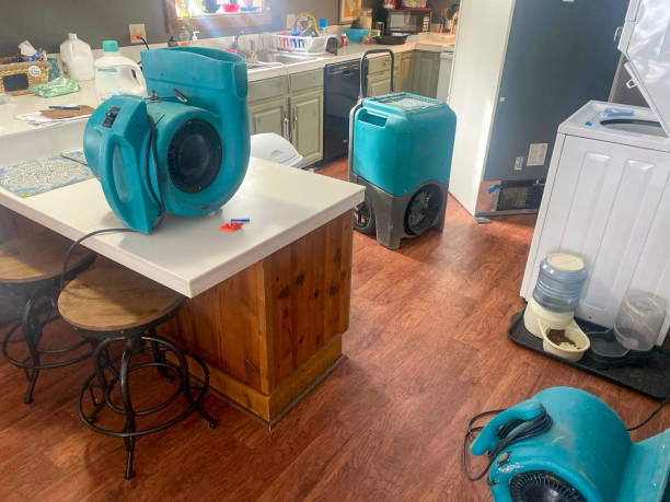 Best Commercial water damage restoration  in South Pekin, IL