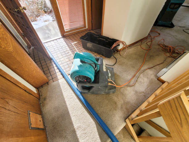 Best Fire Damage Restoration  in South Pekin, IL