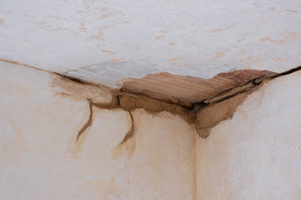 Local water damage restoration in IL