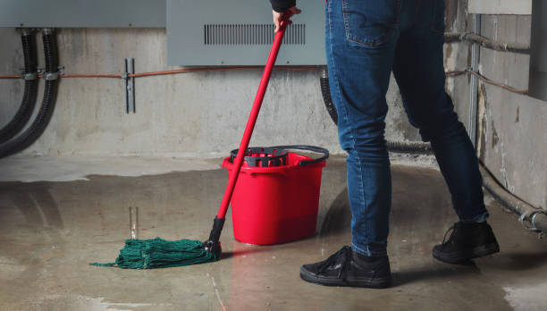 Best Water damage restoration cost  in South Pekin, IL