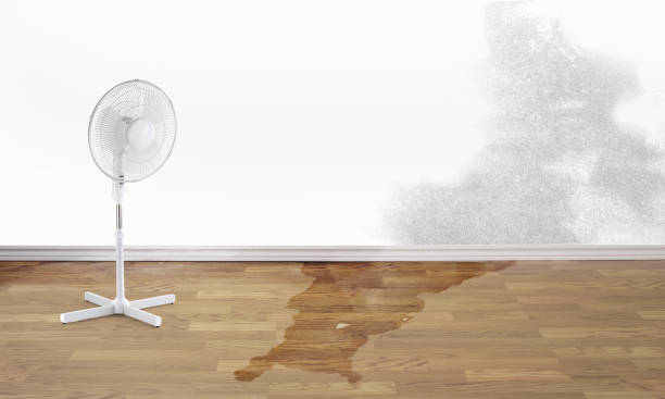 Best 24/7 water damage repair  in South Pekin, IL