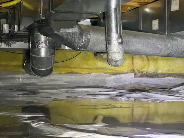 Best Basement water damage restoration  in South Pekin, IL