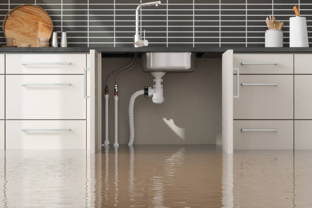 Best Flood restoration services  in South Pekin, IL